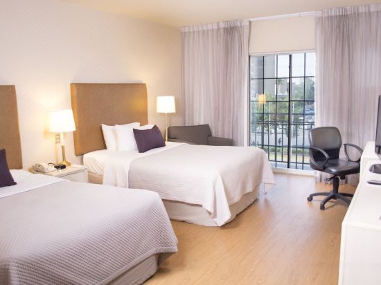 アイステイ ホテル シウダー フアレス シウダー フアレス 宿泊予約 安い料金プラン 口コミ 部屋写真 Trip Com