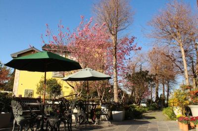 庭 ハウステンボスの写真