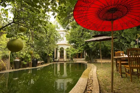 芒果山丘旅館