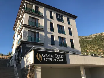 德里奇大酒店