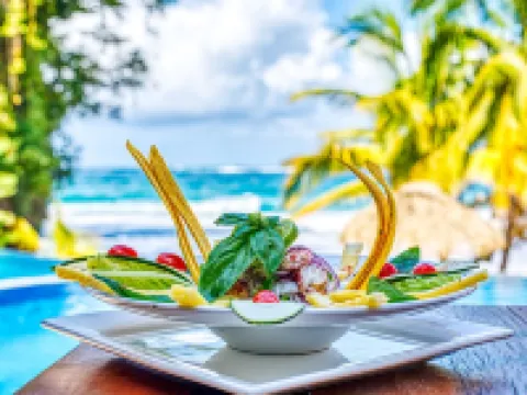 Red Frog Beach Island Resort Hotels in Bastimento