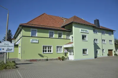 Café Und Hotel Zum Grünen Baum 스타이나크 호텔