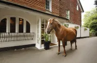 Moorhill House Bed & Breakfast