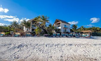 Tago Tulum by G Hotels