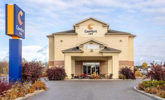 Comfort Inn