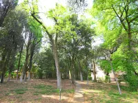 Montecorneo