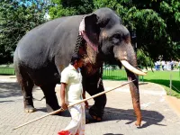 Xotic Resort Hotels in Galagedara