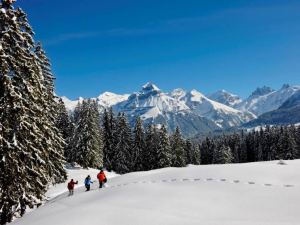 Titlis Resort 3-Zimmer Wohnung 14