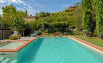 a large swimming pool with a red border is surrounded by trees and shrubs in a garden setting at Messi