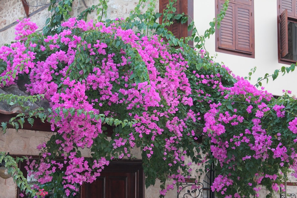 Hadrıan Gate Hotel