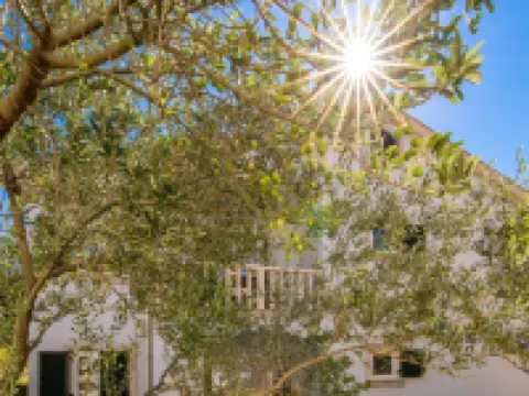 Pavica 6 Hoteles en Palit