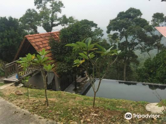 Bao Sheng Durian Farm Penang Balik Pulau 2021 Room Price Deals Review Trip Com