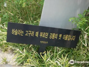 Haslla Art World Museum Hotel