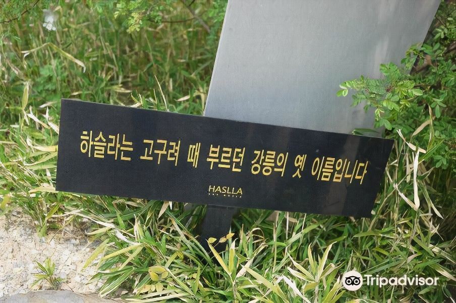 하슬라뮤지엄호텔 객실