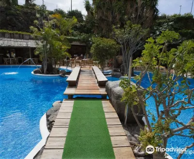 Fergus Puerto de la Cruz Hotels near Suricatas - Loro Parque