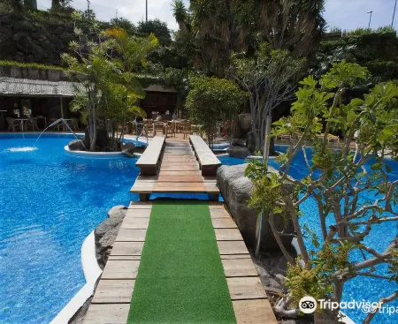 Fergus Puerto de la Cruz