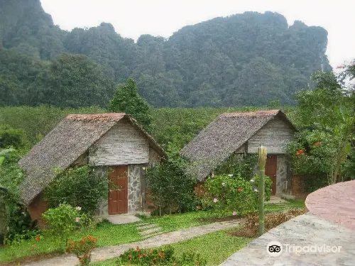 懸崖和河叢林度假村 帕儂住宿飯店