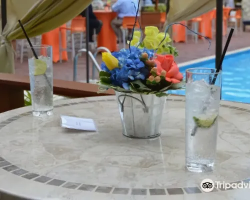 Providence Marriott Downtown Hotel di Providence