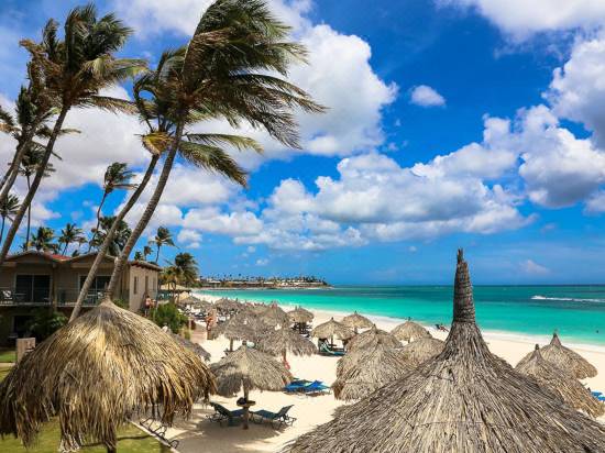 Divi Aruba All Inclusive - Reviews for 4-Star Hotels in Eagle Beach |  Trip.com