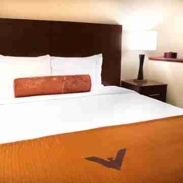 Phoenix Inn Suites Eugene Rooms