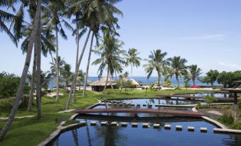 Coconuts Beach Club Resort and Spa