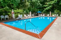 Comfort Inn - Pools