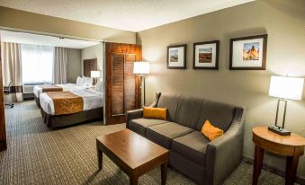 Comfort Suites Lakewood - Denver