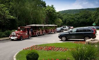 Apollo Spa Resort - All-Inclusive , Free Pools & Individual AC in Every Room