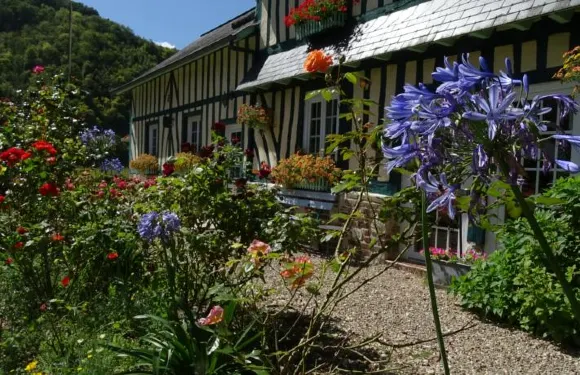 歐費爾之水酒店