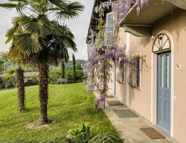 Hotel Los Olivos Quetzaltenango - Housity