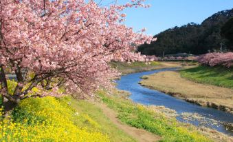 Minshuku Urashima