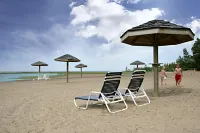 The Westin Trillium House, Blue Mountain - Beach