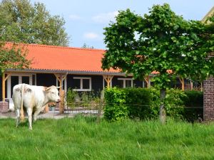 B&B de Boerenzwaluw