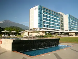 Mount Meru Hotel