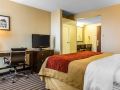 comfort-inn-and-suites-east-hartford