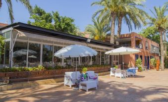 Camping Las Palmeras