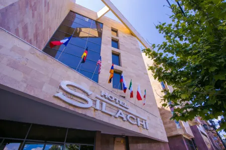 Ani Central Inn Отели в г. Ереван