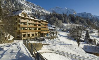 Hotel Alpenrose Wengen - Bringing Together Tradition and Modern Comfort