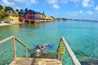 Divi Flamingo Beach Resort - Beach