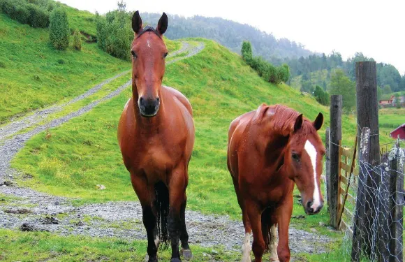 厄於斯特瑟蘇瑟特2號度假屋