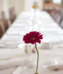 Sturup Airport Hotel - sarapan