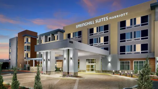 貝爾蒙特紅木海岸SpringHill Suites飯店