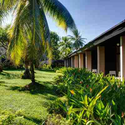 タノア インターナショナル ホテル Hotel Exterior