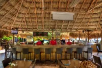 Buddy Dive Resort - bar