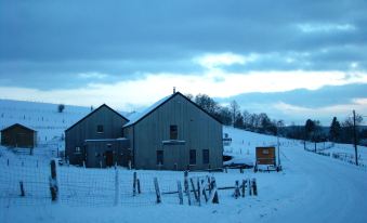 B&B Willow Springs Way Station