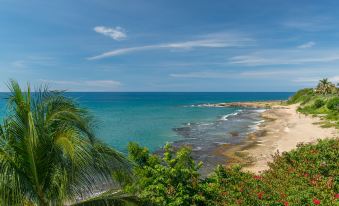 a beautiful beach scene with clear blue water , white sand , and palm trees , under a partly cloudy sky at Hope House