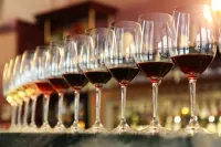 Turners Vineyard Motel Hotels in Orange