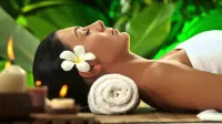 La Tonnelle Guest House - spa