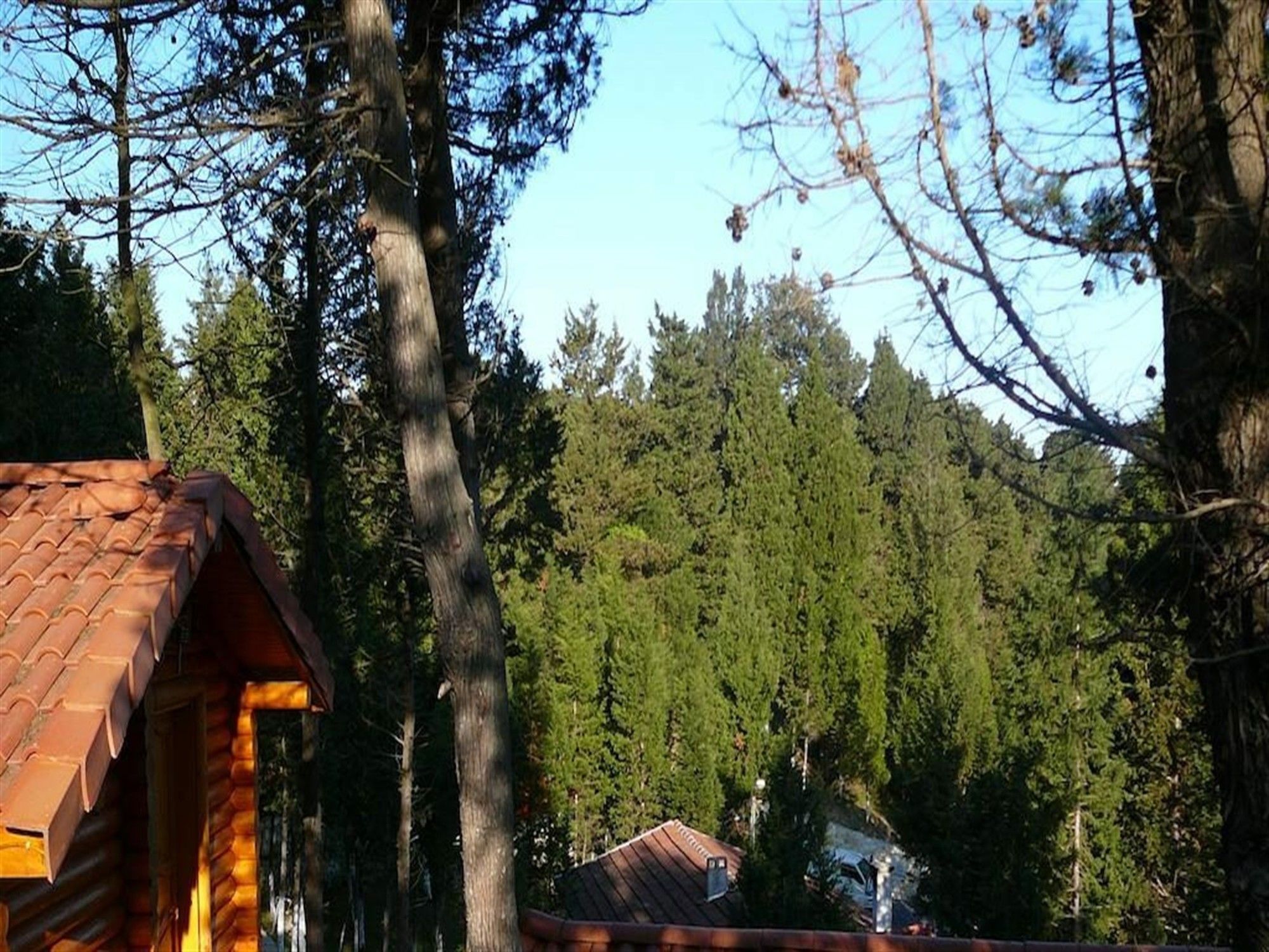 Ağva Orman Evleri Forest Lodge (Agva Orman Evleri Forest Lodge)