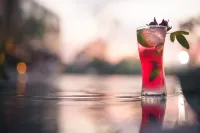 North Hill City Resort - bar